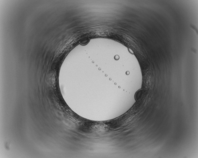 X0000099930595200806131404