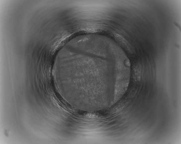 X0000099930596200806131404