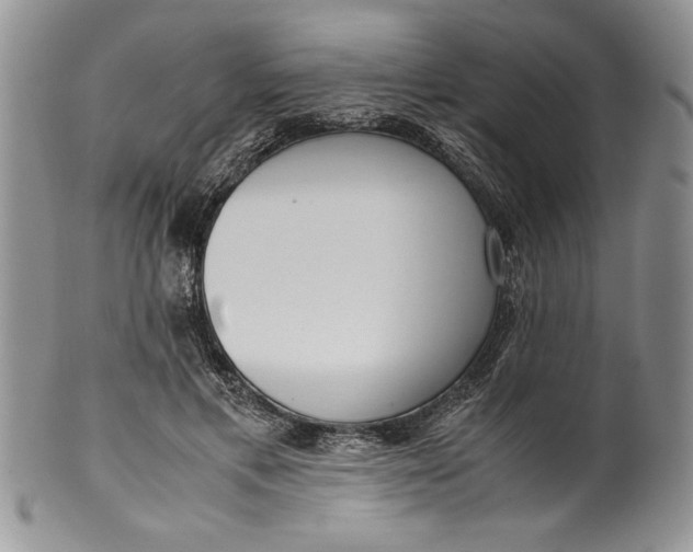 X0000099930597200806131404