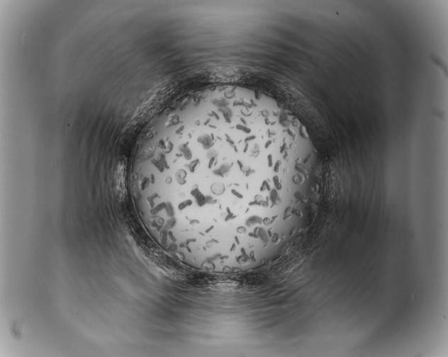 X0000099930598200806131404