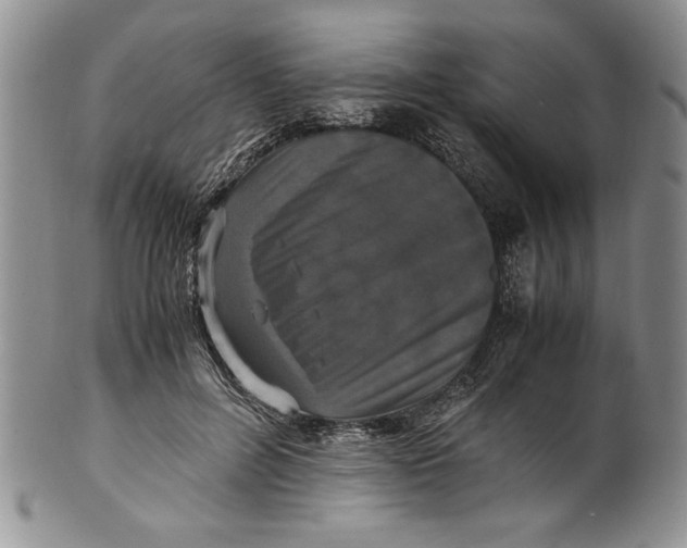 X0000099930600200806131404