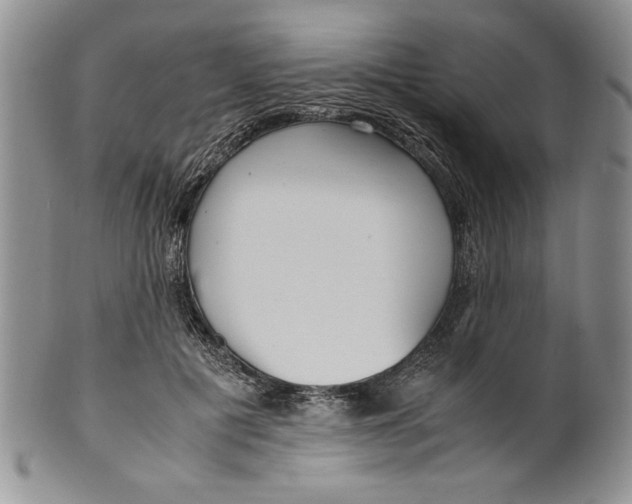 X0000099930601200806131404