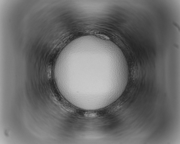 X0000099930602200806131404