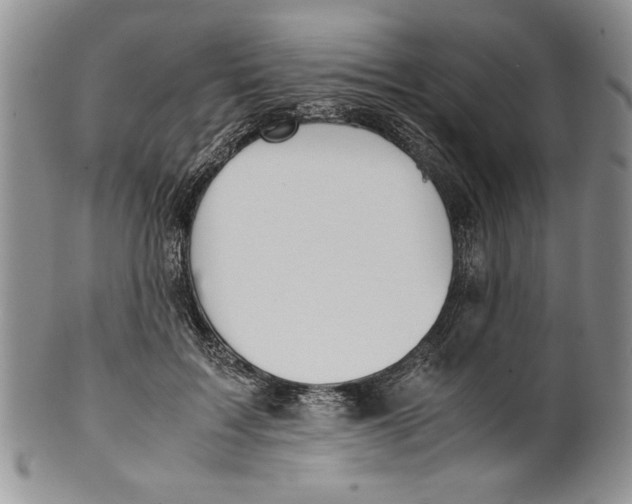 X0000099930603200806131404