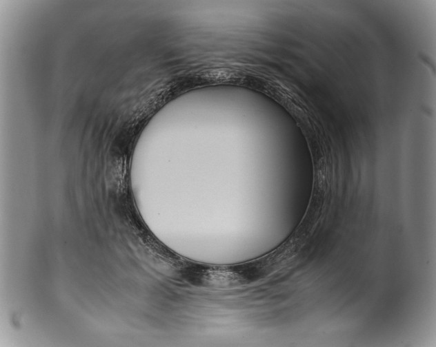 X0000099930605200806131404