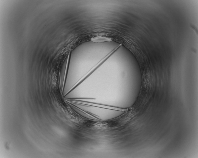 X0000099930606200806131404