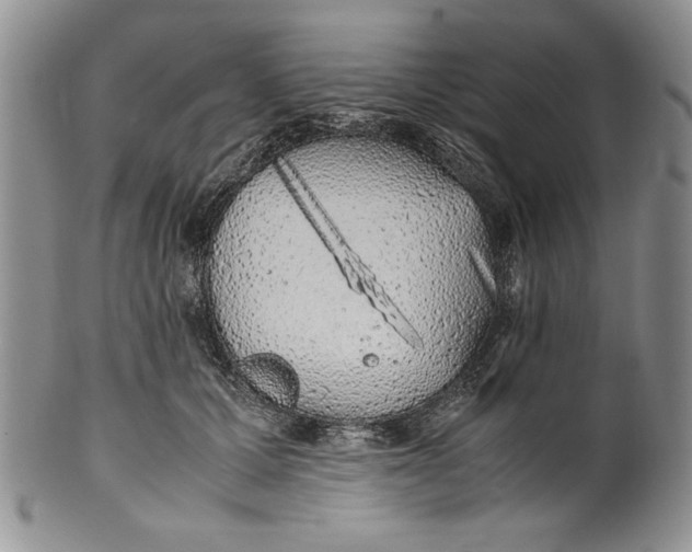 X0000099930607200806131404