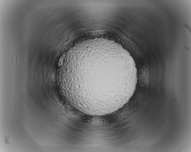 X0000099930608200806131404