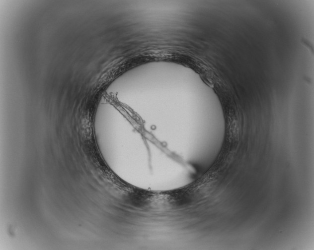 X0000099930609200806131404