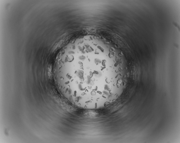 X0000099930610200806131404