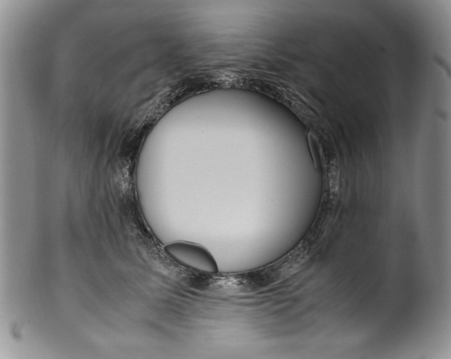 X0000099930611200806131404