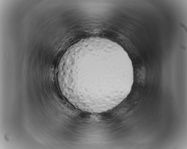 X0000099930612200806131404