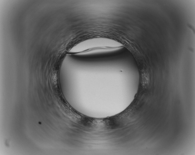 X0000099930613200806131404