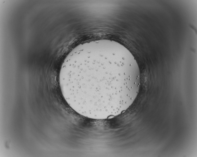 X0000099930615200806131404