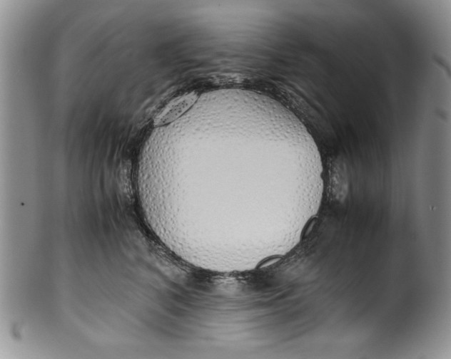 X0000099930616200806131404