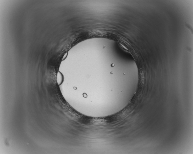 X0000099930617200806131404