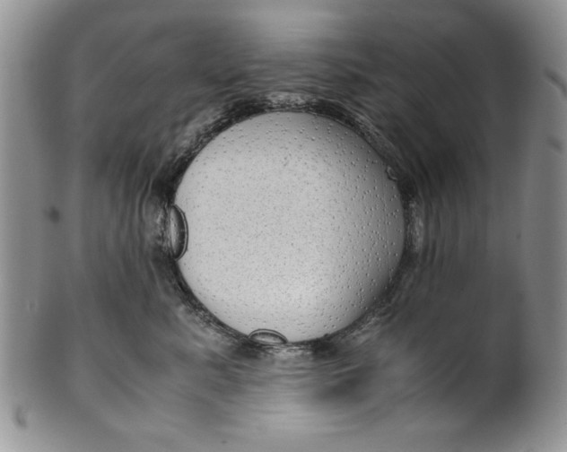 X0000099930619200806131404