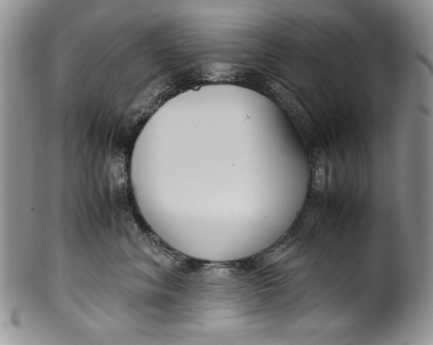 X0000099930620200806131404