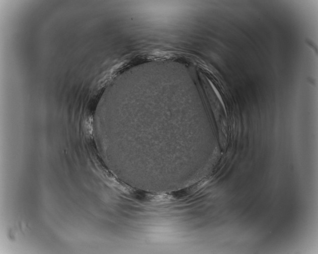 X0000099930621200806131404