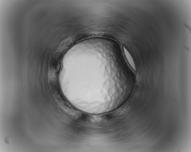 X0000099930623200806131404