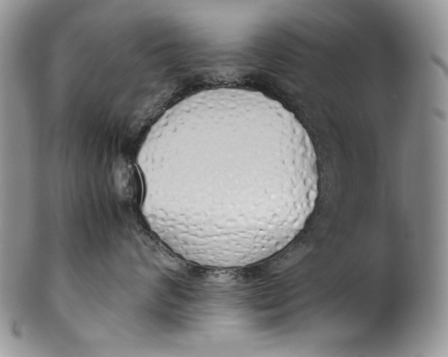 X0000099930624200806131404