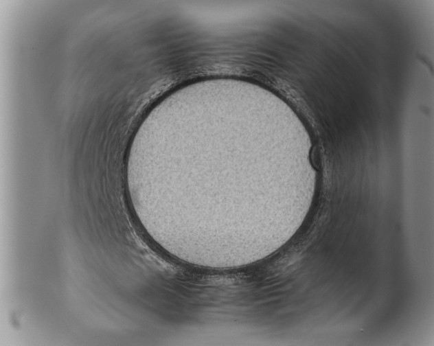 X0000099930625200806131403