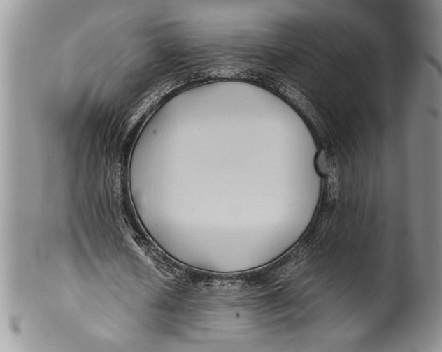 X0000099930626200806131403