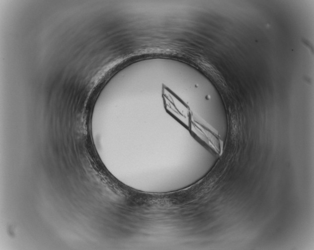 X0000099930628200806131403