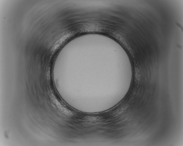 X0000099930629200806131403