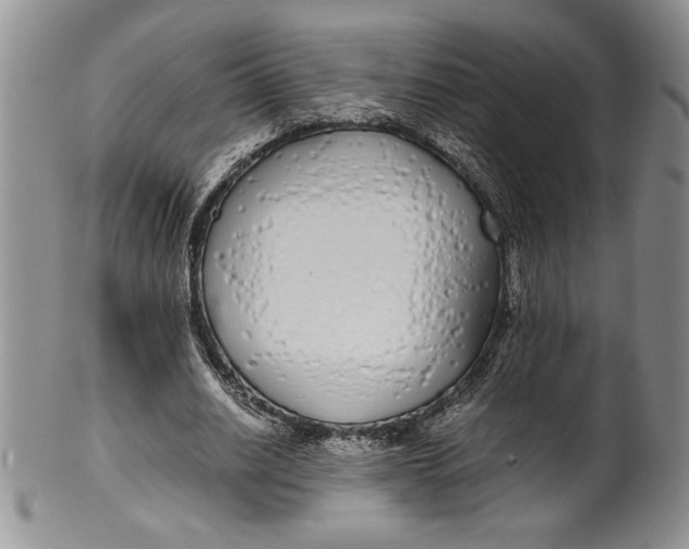 X0000099930630200806131403