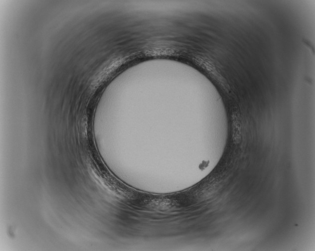 X0000099930631200806131403