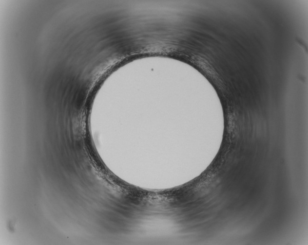 X0000099930632200806131403