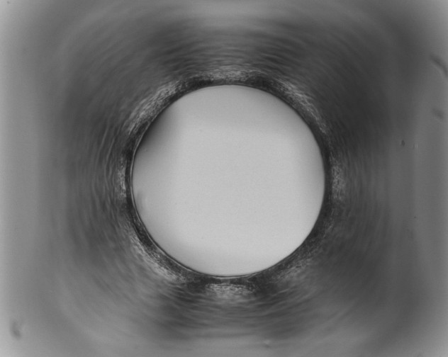 X0000099930633200806131403