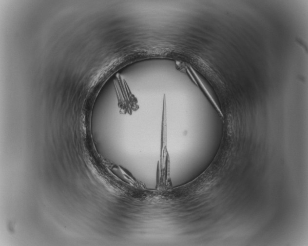 X0000099930634200806131403