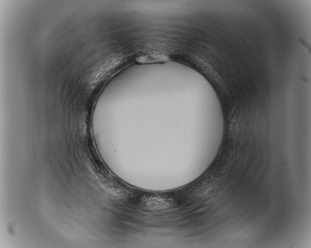 X0000099930635200806131403