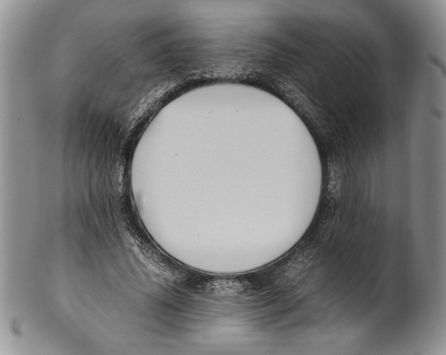 X0000099930636200806131403