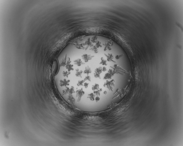 X0000099930637200806131403