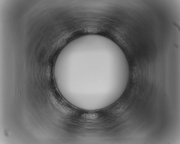 X0000099930639200806131403