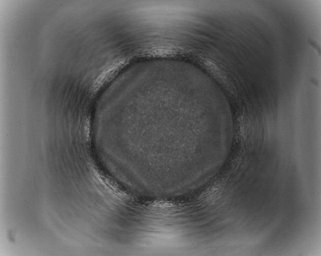 X0000099930640200806131403