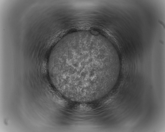 X0000099930641200806131403