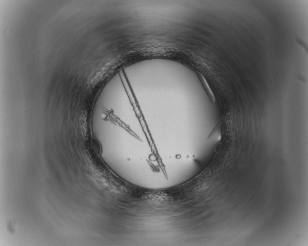 X0000099930642200806131403