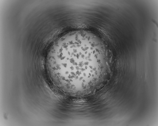 X0000099930643200806131403