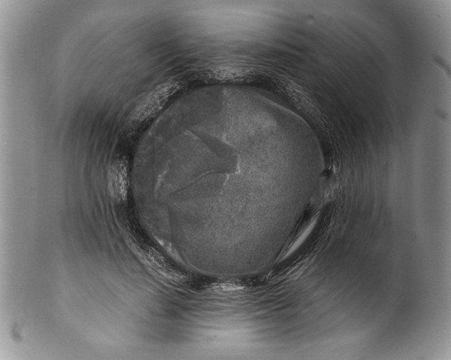 X0000099930644200806131403