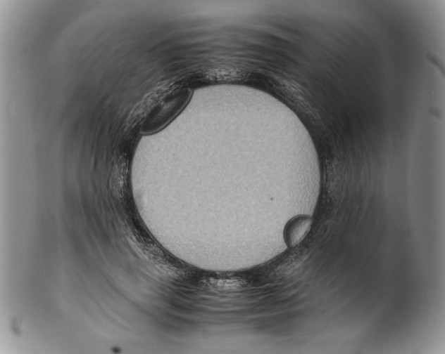 X0000099930645200806131403