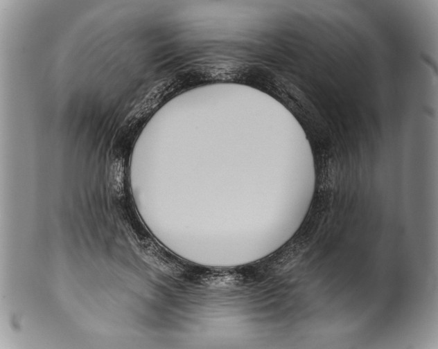 X0000099930646200806131403