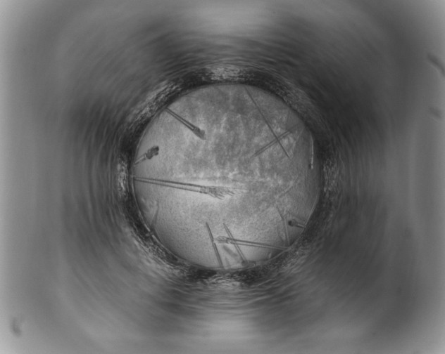 X0000099930648200806131403