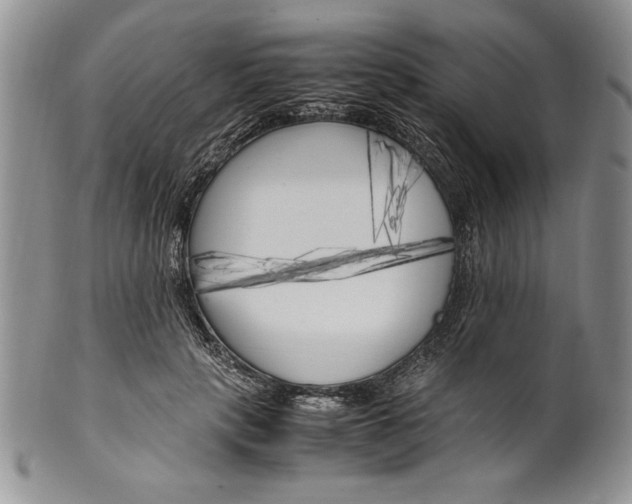 X0000099930649200806131403