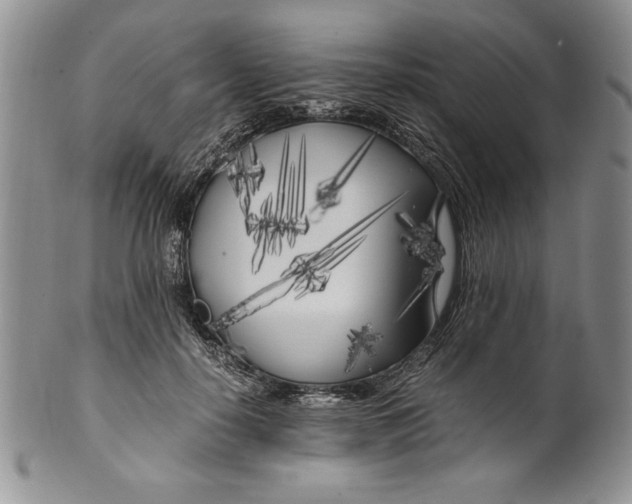 X0000099930650200806131403