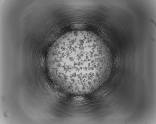 X0000099930651200806131403