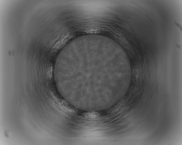 X0000099930652200806131403